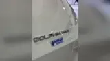BYD Dolphin Mini - Miniatura 3
