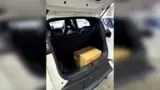 BYD Dolphin Mini - Miniatura 4