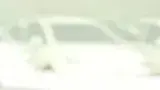 BYD Dolphin Mini - Miniatura 5