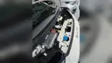 BYD Dolphin Mini - Miniatura 16