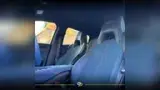 BYD Dolphin Mini - Miniatura 6