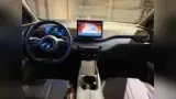BYD Dolphin Mini - Miniatura 7