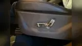 BYD Dolphin Mini - Miniatura 12