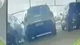 BYD Dolphin - Miniatura 13