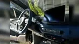 BYD Dolphin - Miniatura 12