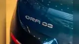 GWM Ora 03 - Miniatura 17