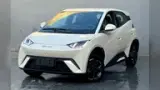 BYD Dolphin - Miniatura 1