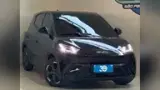 BYD Dolphin Mini - Miniatura 2