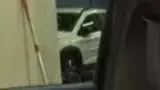 BYD Dolphin Mini - Miniatura 9