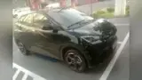 BYD Dolphin Mini - Miniatura 1