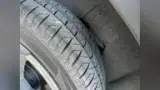 BYD Dolphin Mini - Miniatura 6