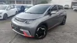 BYD Dolphin - Miniatura 1
