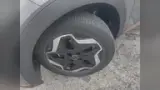 BYD Dolphin - Miniatura 6