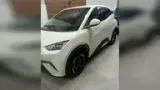 BYD Dolphin Mini - Miniatura 2