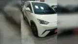 BYD Dolphin Mini - Miniatura 3