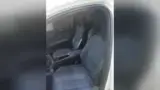 BYD Dolphin Mini - Miniatura 7
