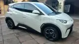 BYD Dolphin Mini - Miniatura 2