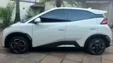 BYD Dolphin Mini - Miniatura 4