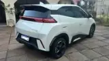 BYD Dolphin Mini - Miniatura 6