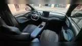 BYD Dolphin Mini - Miniatura 11