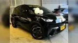 BYD Dolphin Mini - Miniatura 1