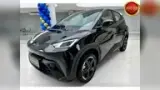 BYD Dolphin Mini - Miniatura 3