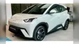 BYD Dolphin Mini - Miniatura 9