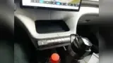 BYD Dolphin - Miniatura 13