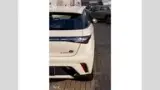 BYD Dolphin - Miniatura 13