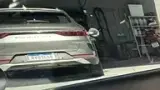 BYD Dolphin - Miniatura 7
