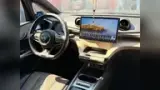 BYD Dolphin - Miniatura 12