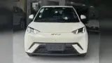 BYD Dolphin Mini - Miniatura 2