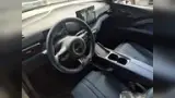BYD Dolphin Mini - Miniatura 9