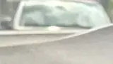 BYD Dolphin Mini - Miniatura 10