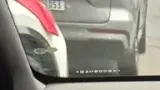 BYD Dolphin Mini - Miniatura 13