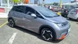 BYD Dolphin - Miniatura 1