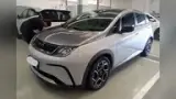 BYD Dolphin Plus - Miniatura 4