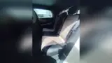 BYD Dolphin - Miniatura 10