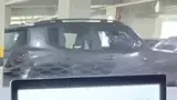 BYD Dolphin Mini - Miniatura 11