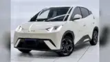 BYD Dolphin Mini - Miniatura 19