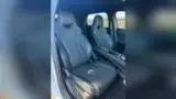 BYD Dolphin Plus - Miniatura 14