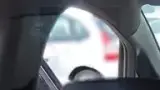 BYD Dolphin - Miniatura 3