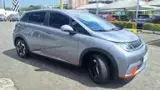 BYD Dolphin - Miniatura 12