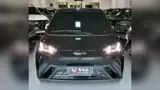 BYD Dolphin Mini - Miniatura 2