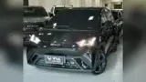 BYD Dolphin Mini - Miniatura 3