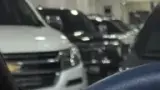 BYD Dolphin Mini - Miniatura 8