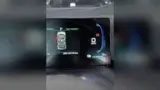 BYD Dolphin Mini - Miniatura 9