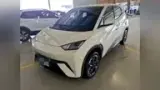 BYD Dolphin Mini - Miniatura 2