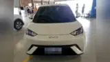 BYD Dolphin Mini - Miniatura 3