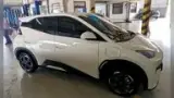 BYD Dolphin Mini - Miniatura 4